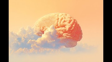 Reassembling Consciousness: How the Brain Transitions from Sleep to Wake