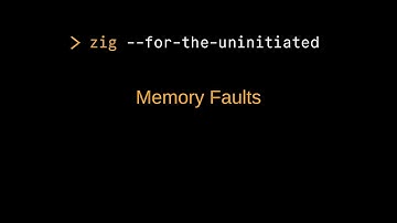 Zig for the Uninitiated: Memory Faults