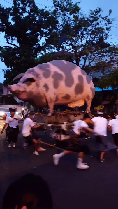 Ogoh-ogoh berwujud babi #ogohogoh