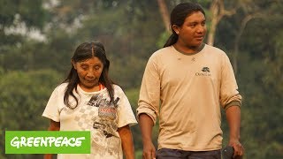 Amazonas Die Karipuna Schützen Den Regenwald