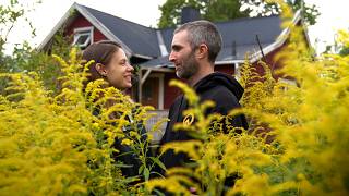 Months of Effort Paid Off: Our Nordic Garden Revealed Its Splendor