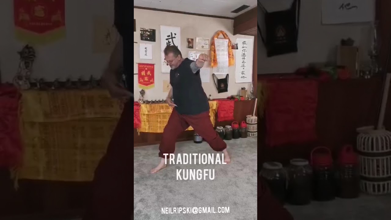 Monkey Kung Fu is a part of the Ma Shaolin style. Private lessons neilripski@gmail.com Redjade.ca