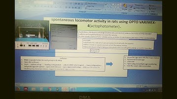 Spontaneous locomotor activity optovarimex 4