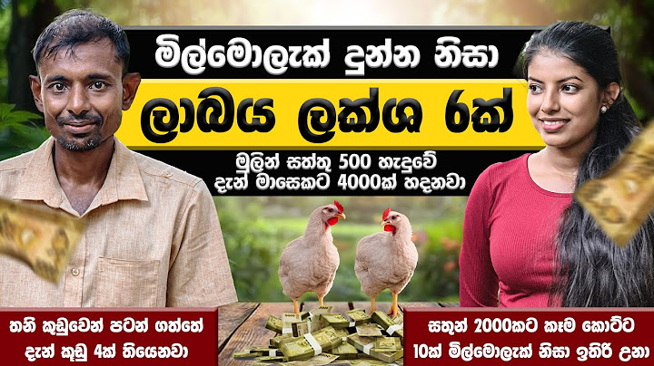 මිල්මොලැක් නිසා ලක්ෂ හයක් | බ්‍රොයිලර් කුකුළන් හදලා හොයමු! | Milmolac | Broiler Chicken Sri Lanka