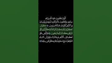 سورة البقرة بخلفية سوداء الآية_27-29 السديس Surat al-baqara  black background  aya_27-29 As-sudais
