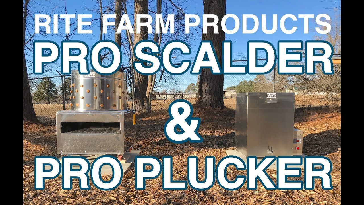 Hot Water Boiler Pluck & Play - Dutch Poultry Technology