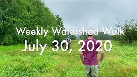 Benthics - Weekly Watershed Walk July 29, 2020