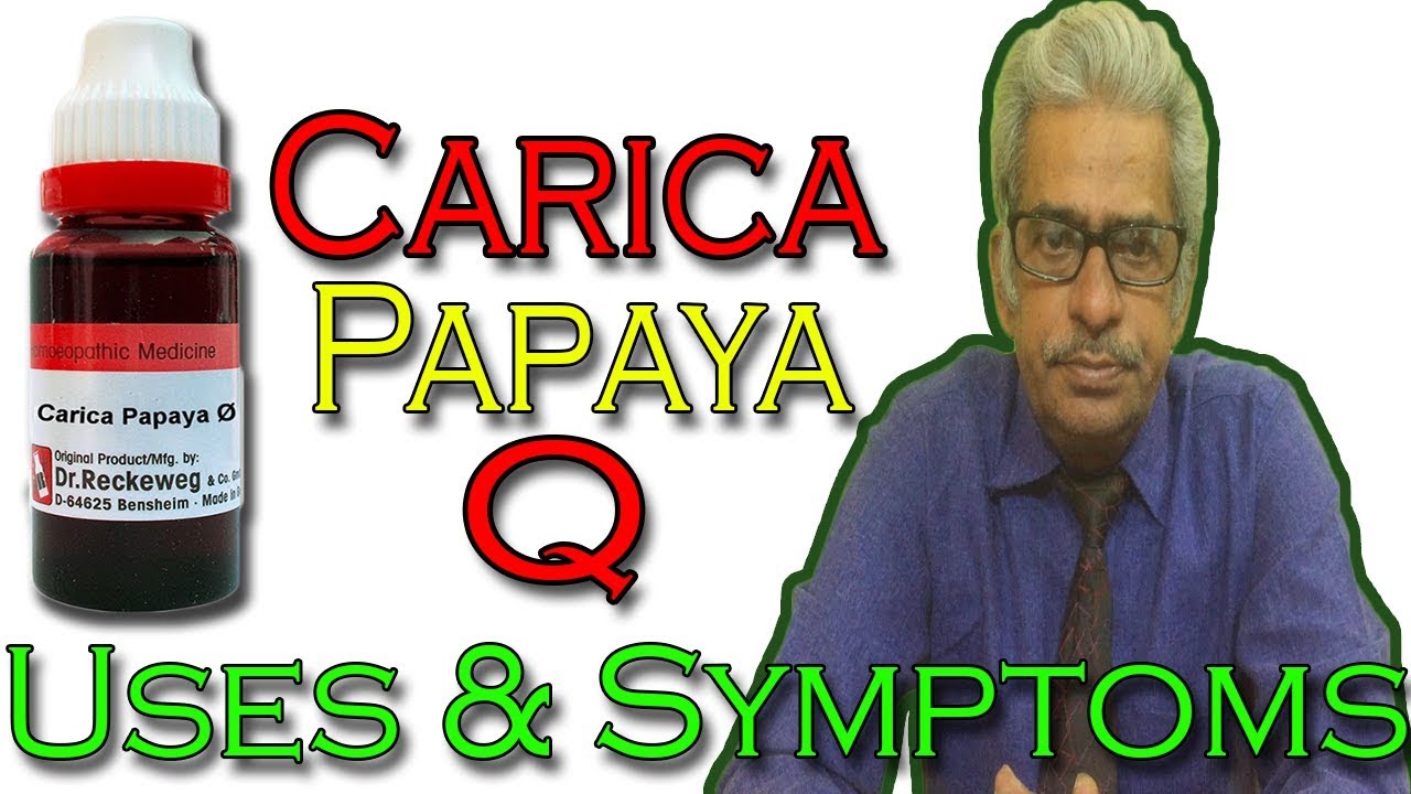 Carica Papaya Q Homeopathy Uses In Hindi Carica Papaya Q Homeopathy Uses In Hindi