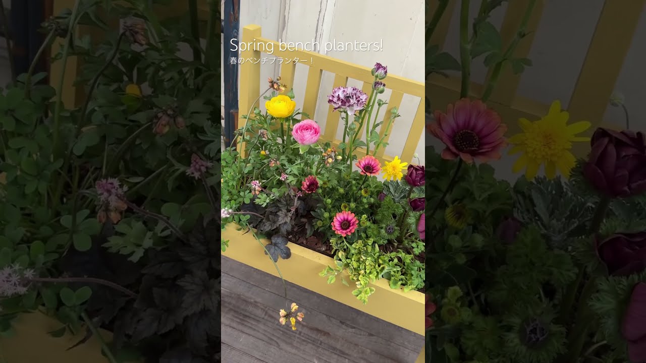 ベンチプランター プランター ガーデニング 寄せ植え 店舗