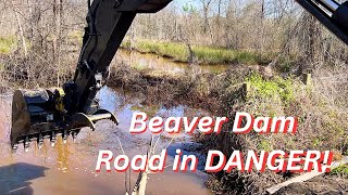 Beaver Dam Removal With 60g Excavator John Deere - Unclogging Culvert - Debris Removal PART 1