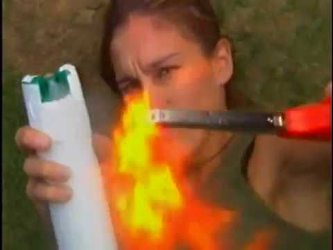 Infested : A Invasão - 2002 DUBLADO