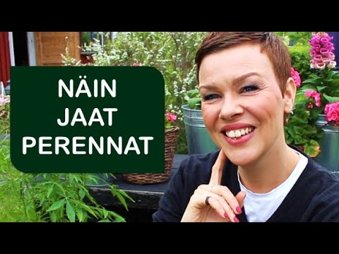 Perennojen jakaminen | Muhevaisen Minuutti