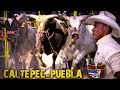 Video de Caltepec