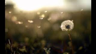 800% slower Imogen Heap - Hide and Seek, A Symphony of the human voice in octaves