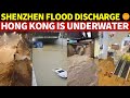 Shenzhen Dam Discharge Devastates Hong Kong: HALF City Paralyzed in 16 Mins!Worst Flood in 140 Years