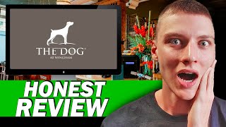 The Dog At Wingham Review Honest Experience, Menu, Rooms & Service At This Top Kent Gastropub