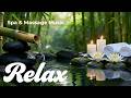 Sleep Instantly 😴 No Ads Relaxing Music | Deep Sleep, Stress Relief &amp; Peaceful Nature