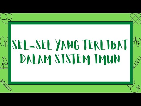 Video: Cytokines Yang Berasal Dari Sel-sel Limfoid Bawaan Membantu Helicobacter Hepaticus Untuk Membesar Tumorigenesis Hepatoselular Dalam Tikus Transgenik Virus