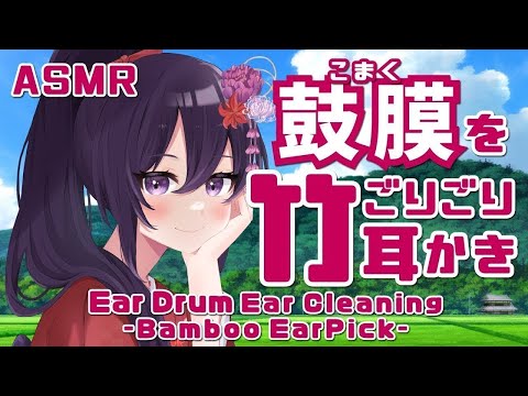 【ASMR】このガリゴリ感が癖になる！鼓膜竹耳かき/Relaxing Bamboo Ear Pick Ear Drum Ear Cleaning#545【睡眠導入/村瀬巴/長時間】