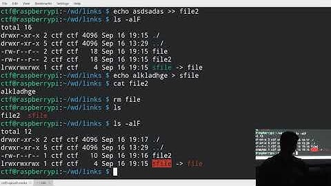 Основы Linux №2, "Основы практической информационной безопасности" | Кружок CTF от команды SPRUSH