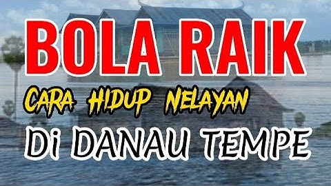 BOLA RAIK, CARA HIDUP NELAYAN DI DANAU TEMPE