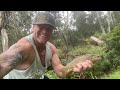 OLINDA CREEK ADVENTURE 🇦🇺 🎣