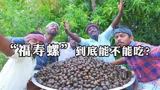 福寿螺究竟能吃吗印度五兄弟恒河里搜刮100斤烹饪过程太过瘾