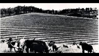 Icyifuzo ( lyrics) - Sipiriyani Rugamba & Amasimbi n'Amakombe, 1984 - Rwanda