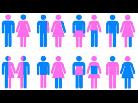 top 63 genders not