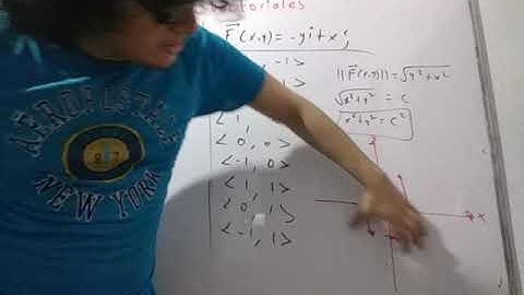 Esbozo de un campo vectorial.