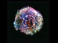 view Data Sonification: Tycho&apos;s Supernova Remnant (X-ray) digital asset number 1