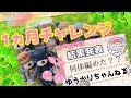 [１ヶ月・編み物チャレンジ！！]☆何体編めたかな？？☆