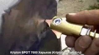 Споттер Видео