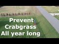 How to get rid of crabgrass and keep it gone all year long
