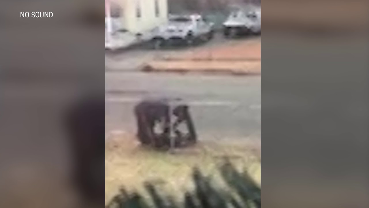 Caught on Camera Police throw man to ground and pull hair YouTube