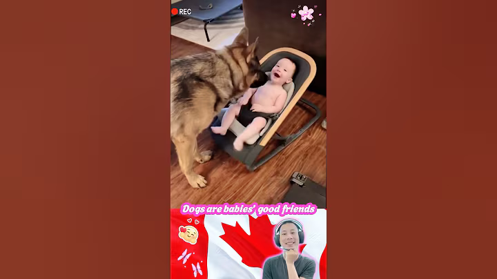 Dogs are babies’ good friends 🥰❤️😘 #Shorts #baby #pet #love #cute #dogshort #foryou #bestfriend
