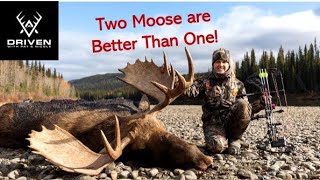 Archery Yukon Moose: A River Runs Through It