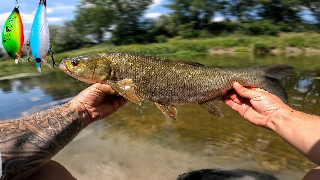 Balin horgászat az új marcsóműhely wobblerekkel, csali bemutató és teszt