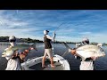 Catching gt and tailor  its hard fishing the noosa river