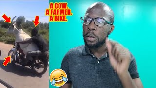 Teaching An Old Cow, New Tricks? 🤣🤣🤣[K2K REACTION S11 Ep #13]