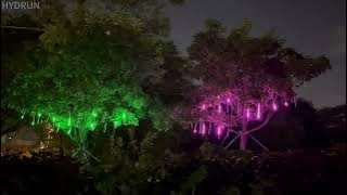 ph 11110105 6ke15 lmwtlhb9gu0hd4 16003251727188114 1