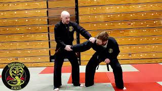 Applied Karate - Application of the Low  Block ( Gedan Barai )