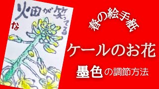【ケールの花の絵手紙】簡単な絵手紙　絵手紙のかき方　墨の使い方　菜の花みたいな野菜の王様　絵手紙基礎基本　簡単アートえてがみ