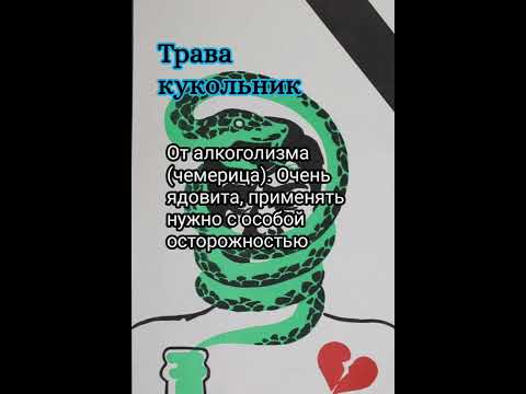 Какие травы помогают от алкоголизма