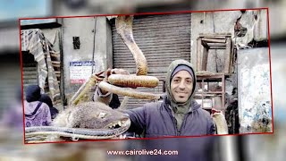 قنفذ وثعالب وثعابين.. أسرار مختلفة عن تحنيط الحيوانات في سوق الجمعة بالسيدة عائشة screenshot 5