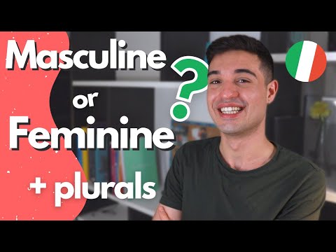 Gender of Nouns in Italian + Plural Rules (Masculine or feminine?)