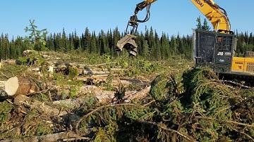 Axis Midnight Edition 622B rebuilt head Cypress Robotics