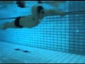水泳スピードアップ・プログラム 水泳練習法