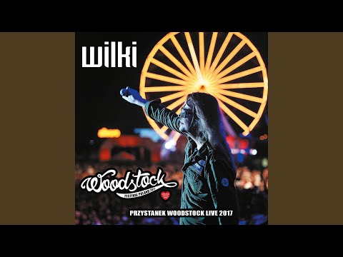 Wilki - Rachela (Live)