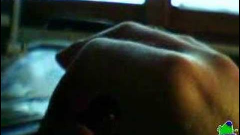 the bug ! demo-video